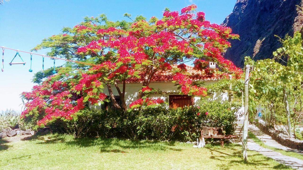 花哈朵帕里若斯酒店 里贝拉布拉瓦 外观 照片